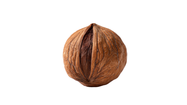 Single nut standing upright background isolated on a Transparent background, PNG file.