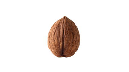 Single nut standing upright background isolated on a Transparent background, PNG file.