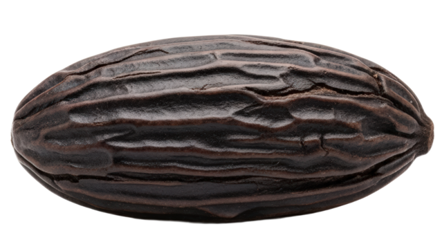 Close Up Macro View Of A Single Dark Brown Nutmeg Spice With Textured Grooves isolated on Transparent Background