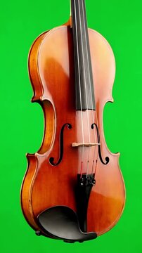 Musical Instrument with girl in the jacket plays violin green screen distortion, overlay, glitch, static noise, scan lines on black background, 4k animated video loop