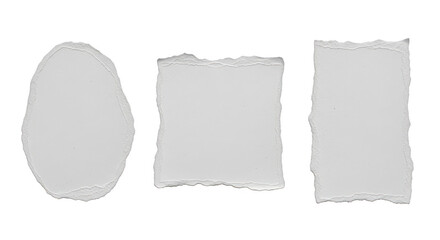Three blank torn paper pieces isolated on transparent background for message concept