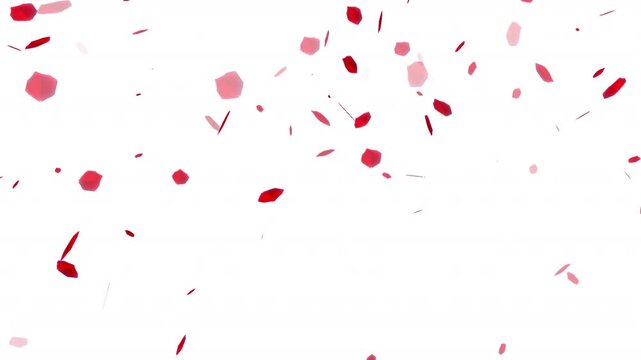   Petal rose animation on transparent background with alpha channel. petal love animation motion graphic 4k video