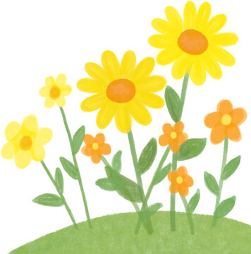 Yellow and Orange Flowers Illustration