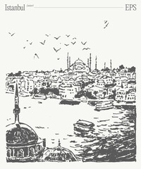 A Stunning and Beautiful Sketch of Istanbuls Iconic Skyline Featuring Historic Architecture