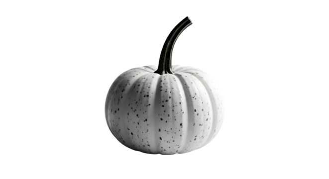 A single white ornamental gourd with a curved stem isolated on transparent background