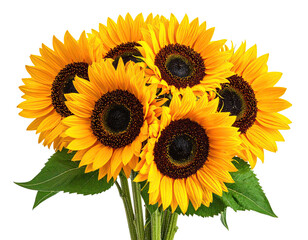 A close-up shot of a vibrant bouquet of sunflowers against a dark background