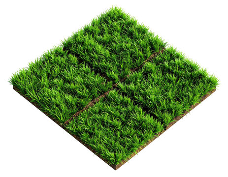Isometric view of four connected, green, grassy squares isolated on black