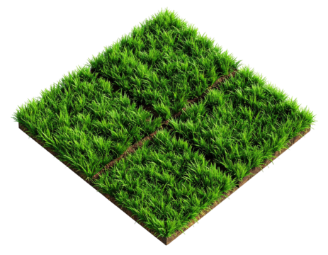 Isometric view of four connected, green, grassy squares isolated on black