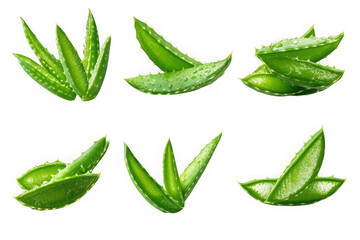 Six arrangements of fresh green aloe vera leaves with water droplets on black background plant leaf