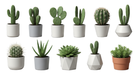 Collection Of Potted Cacti And Succulents In Various Modern Planters isolated on Transparent Background