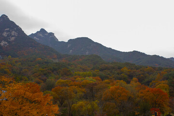 This is a Korean autumn mountain landscape.