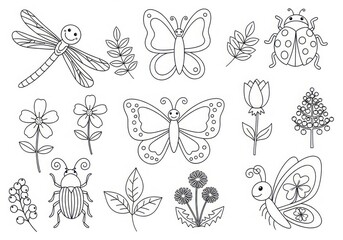 Collection of delicate outline drawings of insects and flowers