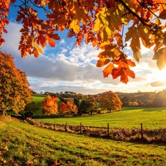 Autumn foliage frames a scenic landscape at golden hour