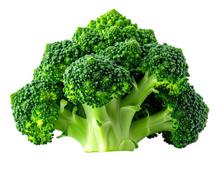 A vibrant head of broccoli, showcasing detailed florets and bright green stems