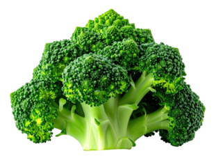 A vibrant head of broccoli, showcasing detailed florets and bright green stems