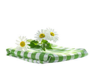 Three white daisies on a folded green and white checkered cloth, isolated, black background