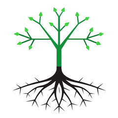 tree with roots