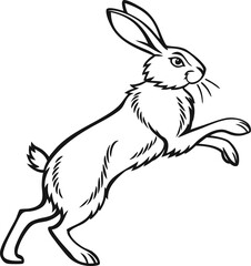 Leaping hare outline drawing. rabbit jumping illustration vector art.