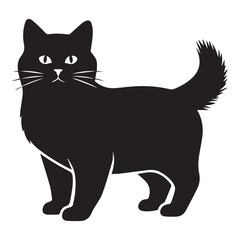 Fototapeta premium Fluffy Black Cat Silhouette Standing animal