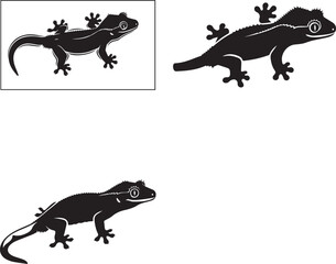 Three Crested Gecko Silhouettes on White Background