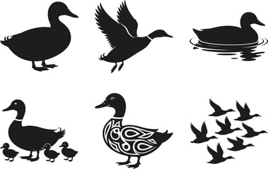 Obraz premium Duck Silhouette Vector Set – Flying, Swimming, and Family Duck Illustrations