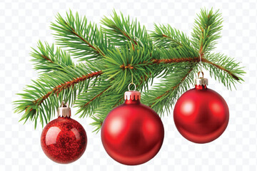 red decoration balls hanging from christmas tree branch isolated on transparent background 