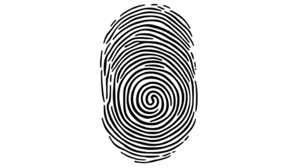 Detailed fingerprint pattern showing unique biometric texture and identity lines, personal security and forensic element, isolated on white background
