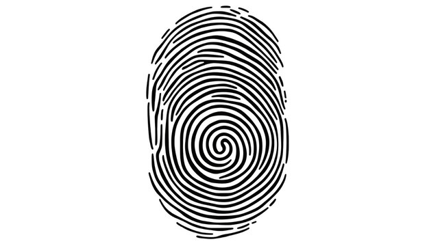 Detailed fingerprint pattern showing unique biometric texture and identity lines, personal security and forensic element, isolated on white background
