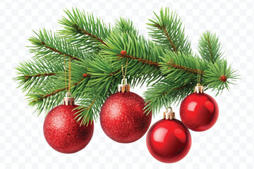 red decoration balls hanging from christmas tree branch isolated on transparent background 