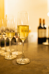 Red and white wine glasses on a beautifully set table, Fine dining and wine, Luxury table setting.