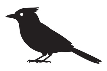 Obraz premium Stylized black silhouette of a crested bird standing on white background silhouette