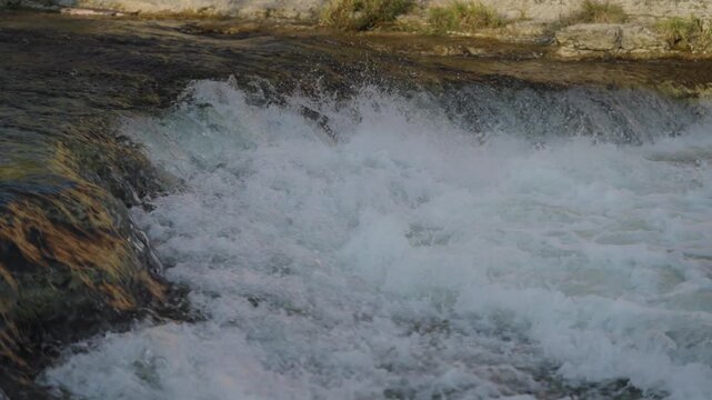 Salmon jumping upstream in Ganaraska River, serene nature scene, slow motion