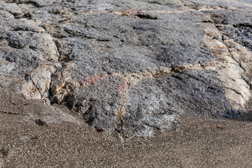 Rocky beach surface. Natural background. Space for text.