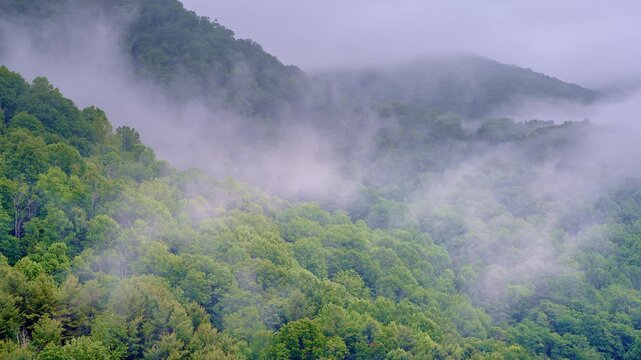 Cinematic drone movement over a tranquil, vapor-shrouded mountain valley.