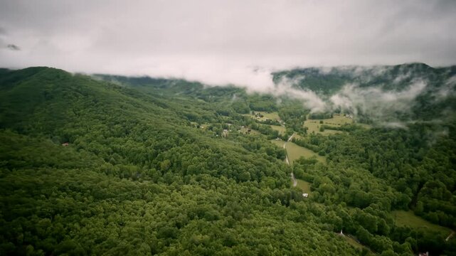 Aerial pass showcasing a serene valley veiled in mist in the Smokies.
