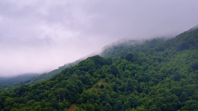 Drone footage rising above a serene, misty valley in the Smoky Mountains.