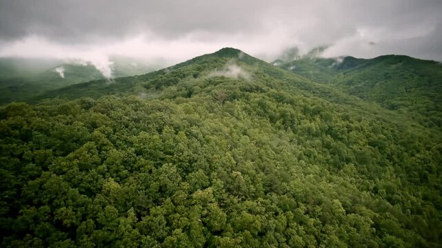 Aerial cinematic sweep across a quiet Smoky Mountain valley shrouded in mist.