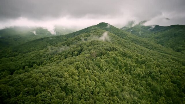 Drone shot drifting over a fog-wrapped valley in the Smoky Mountains.
