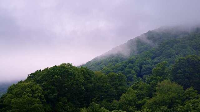 Cinematic flyover capturing a still valley wrapped in ethereal mist.