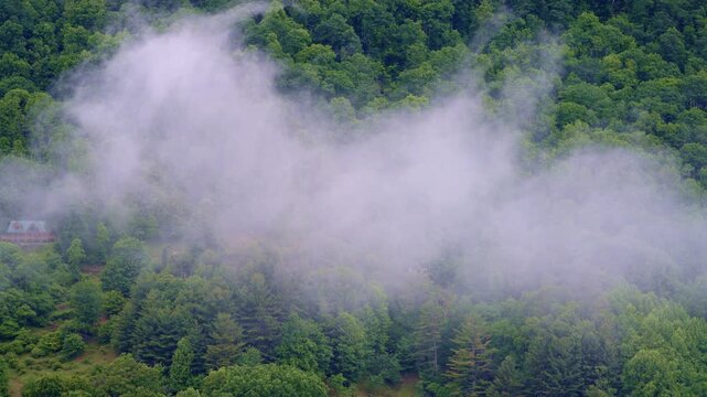 Drone shot soaring across a dreamlike, mist-layered Smoky Mountain valley.