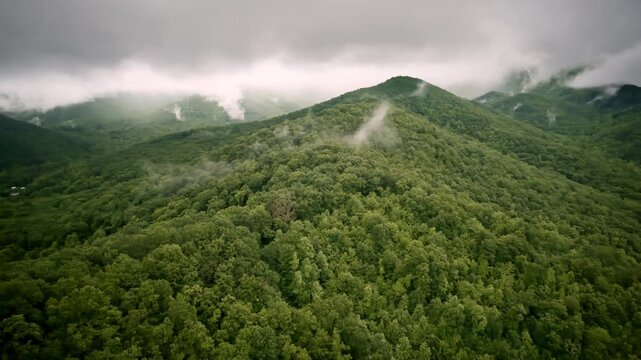 Cinematic drone angle sweeping past a peaceful, mist-filled mountain valley.