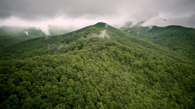 Drone shot floating above a peaceful, mist-kissed Smoky Mountain slope.