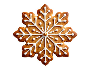 A beautifully decorated, iced gingerbread snowflake against a pure black background