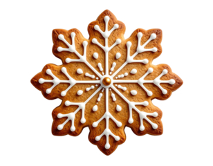 A beautifully decorated, iced gingerbread snowflake against a pure black background