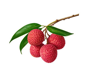 A branch of red lychee fruits with green leaves on a black background