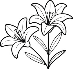 Two lily flowers line art — elegant black and white floral illustration perfect for tattoo, botanical decor, or design projects