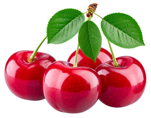 Vibrant Cherries with Leaves &ndash; Refreshing Snack PNG