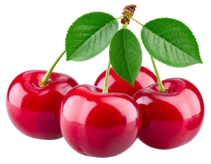 Vibrant Cherries with Leaves – Refreshing Snack PNG