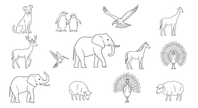 A collection of black and white outline illustrations of various animals including mammals and birds, suitable for coloring or graphic design.
