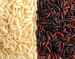 Close-up of two rice types, long grain, light beige and dark burgundy grains